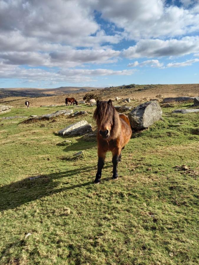 Dartmoor Inn Princetown Kültér fotó